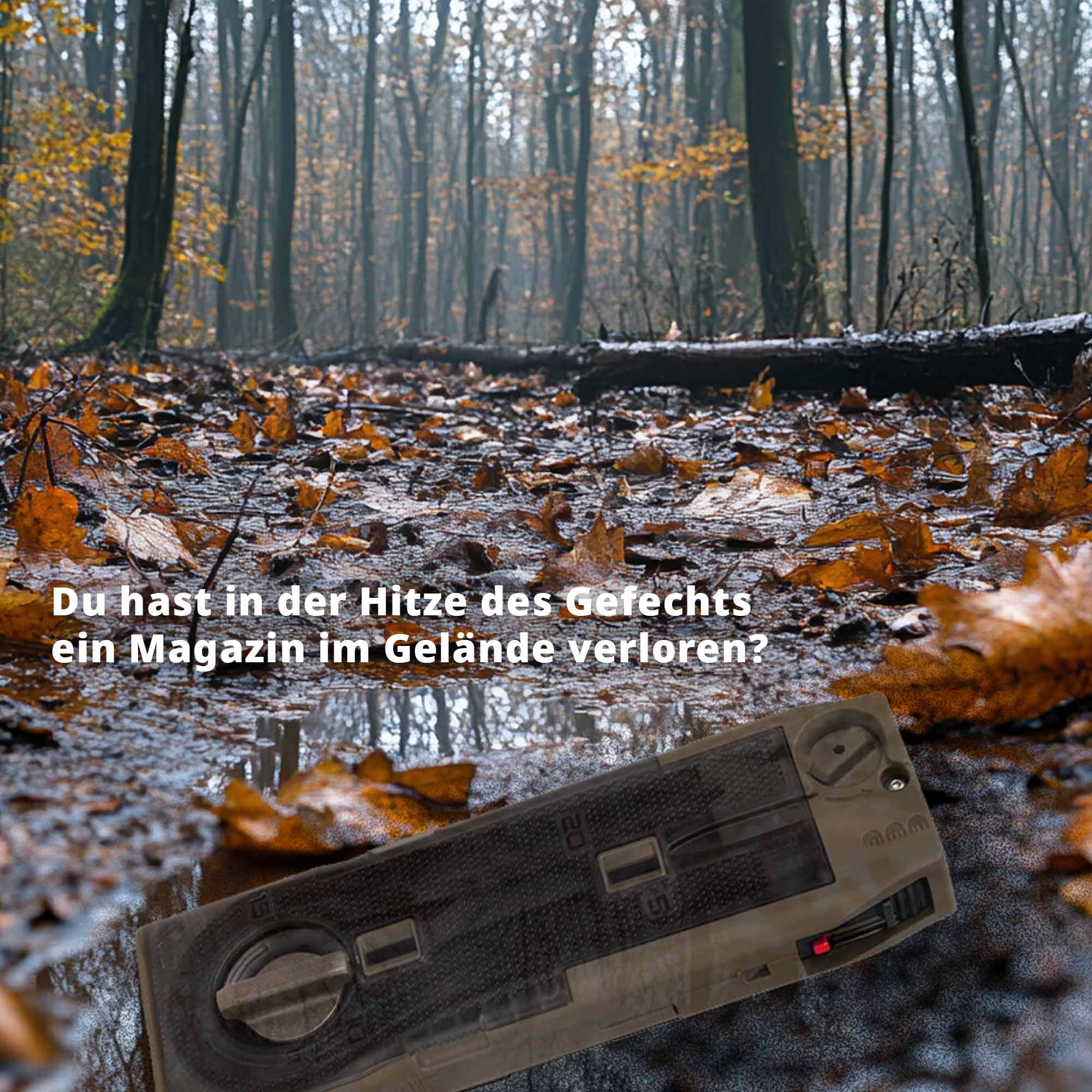 Mag Lasering Pflanzenwuchs, Wald, Blatt, Fotografie, Grove