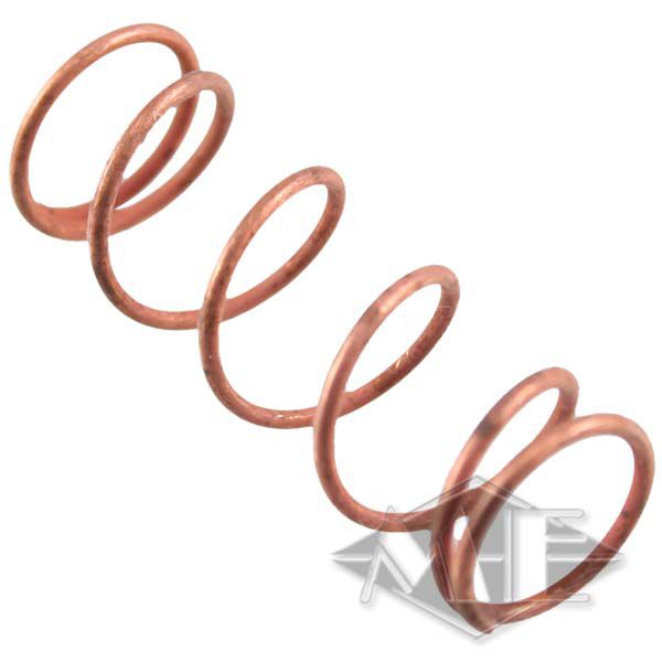 Dye NT replacement part: valve spring Dye NT replacement part: valve spring